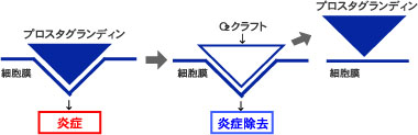 痛みや炎症を引き起こす物質「プロスタグランディン」に置き換わり炎症を抑えます